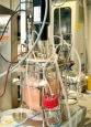 Labfors PEEK